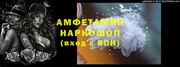 индика Беломорск