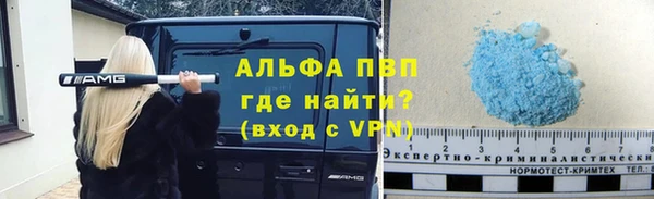 индика Беломорск