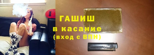индика Беломорск