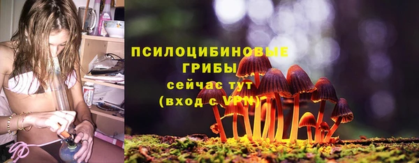 индика Беломорск