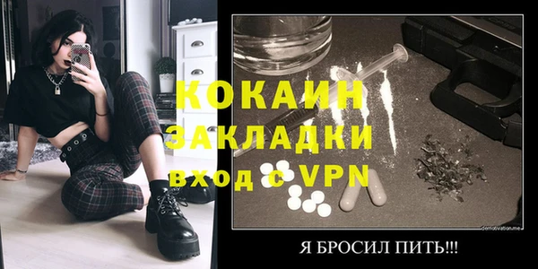 индика Беломорск