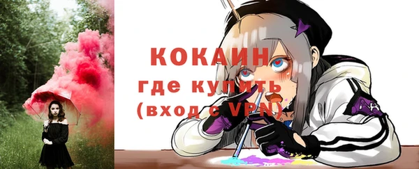 индика Беломорск