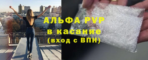 индика Беломорск