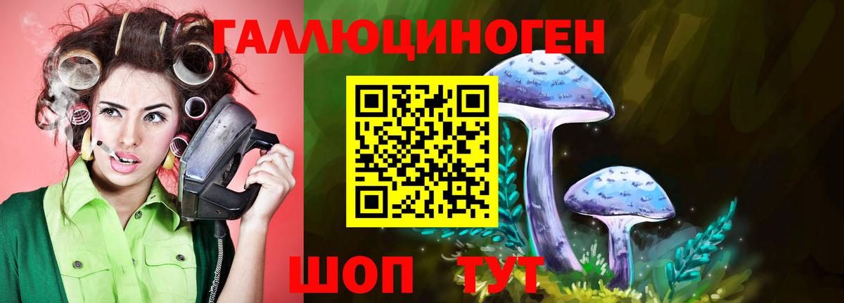 Галлюциногенные грибы мухоморы  Вход с VPN  Верхняя Пышма 