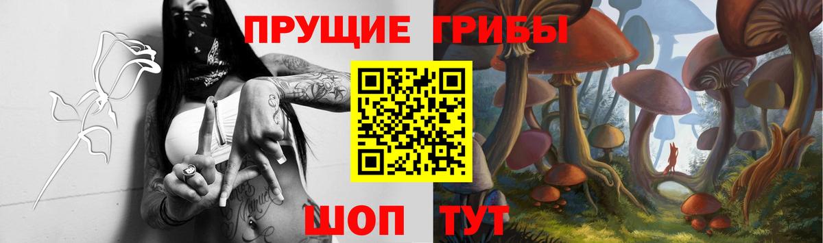 Псилоцибиновые грибы GOLDEN TEACHER  Галлюциногенные грибы ЛСД  купить наркотик  Верхняя Пышма 